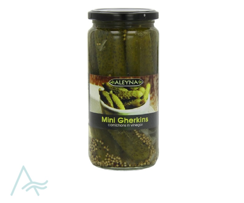 ALEYNA CORNICHONS 500G